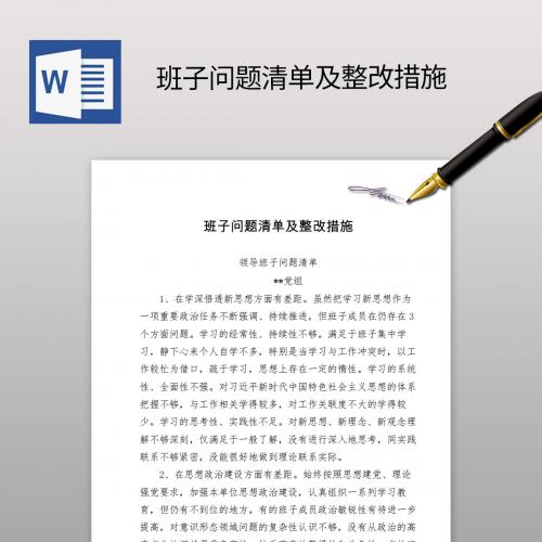 领导班子问题清单及整改措施范文材料